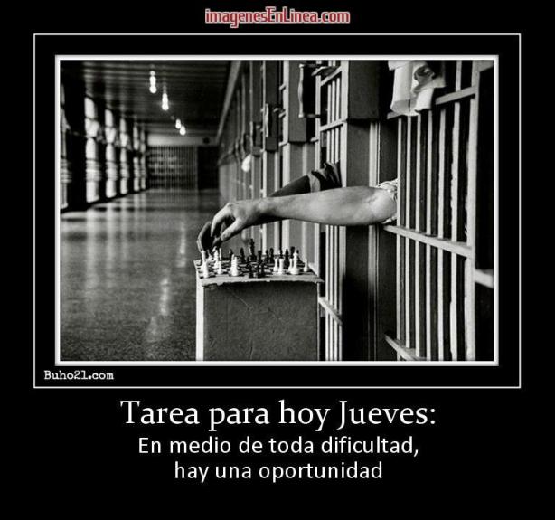 116731_tarea-para-hoy-jueves