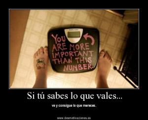 261322_135973119816082_6276631_n_large