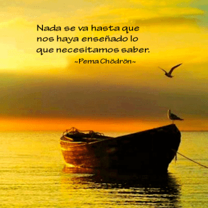 581815_10151684369178322_850153446_n