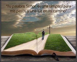 998281_674828022544964_1807583148_n