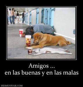 109767_amigos--en-las-buenas-y-en-las-malas