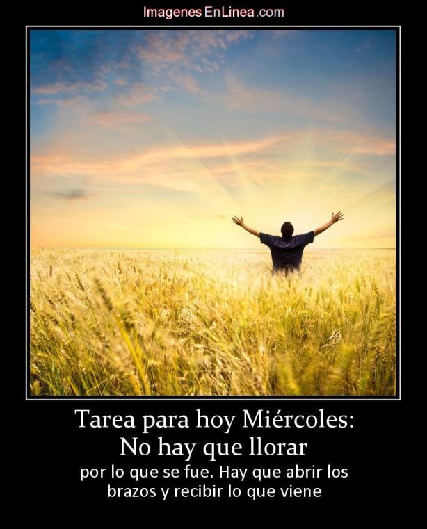 17415_tarea-para-hoy-miercoles-no-hay-que-llorar