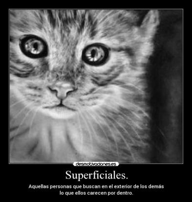 cat_drawing__by_hoydadid4d7u8k_thumbjpg