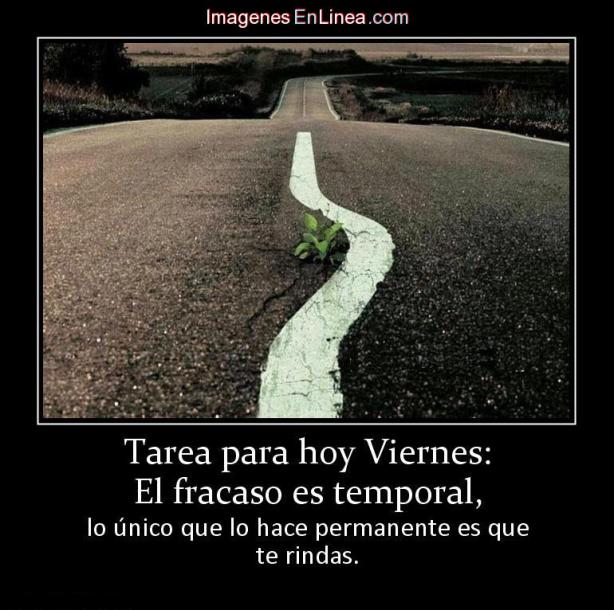 11344_tarea-para-hoy-viernes-el-fracaso-es-temporal