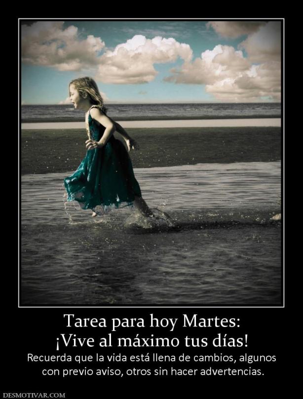 98868_tarea-para-hoy-martes-vive-al-maximo-tus-dias