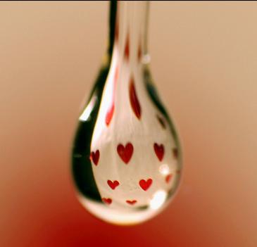 gota-de-amor