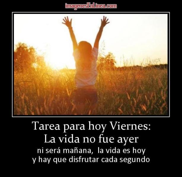 11880_tarea-para-hoy-viernes-la-vida-no-fue-ayer