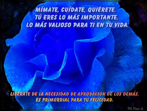 5408855126_2e77239be9_b