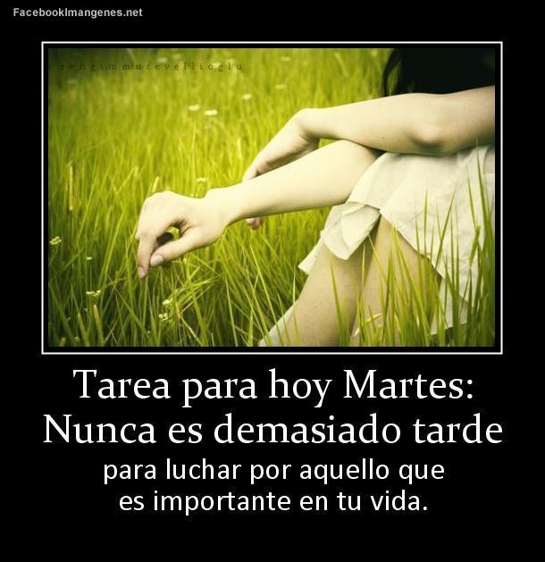 tarea-para-hoy-martes-4270