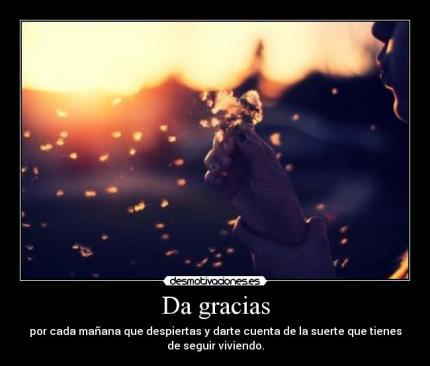 tumblr_lfpgl8kWW91qzwbv0o1_500_large