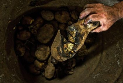 trabajador-separa-podridas-alimentacion-Cavasa_MILIMA20130824_0161_8