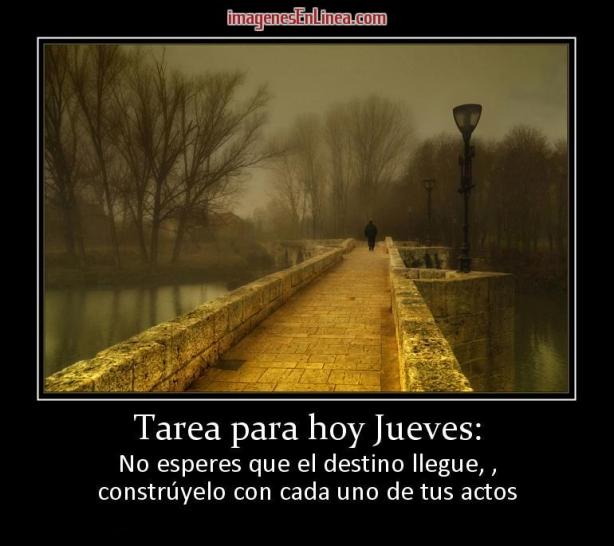 18717_tarea-para-hoy-jueves