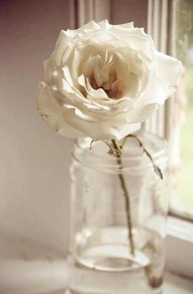 2de2e79d70469a862618ece69ff896e8