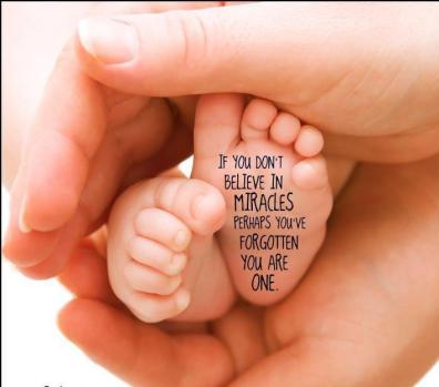 401720_272074412889516_237513286345629_559075_31010609_n