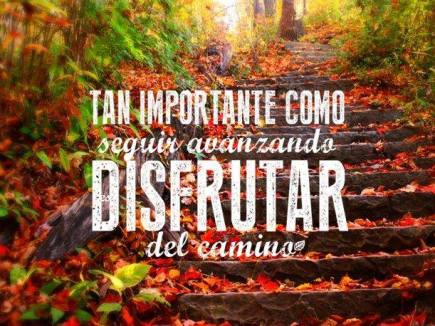 1460038_575886329151127_1938209436_n