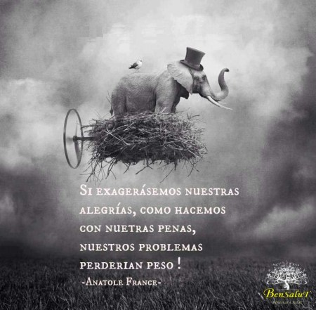 223347_559202594104535_670706078_n-1