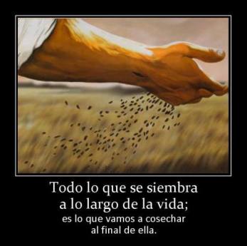 1176152_402888329823176_1377645242_n