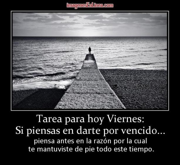 20224_tarea-para-hoy-viernes-si-piensas-en-darte-por