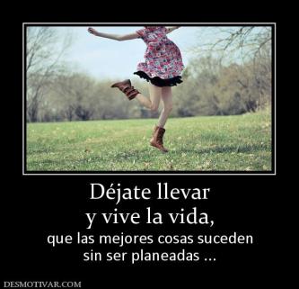 146267_dejate-llevar-y-vive-la-vida