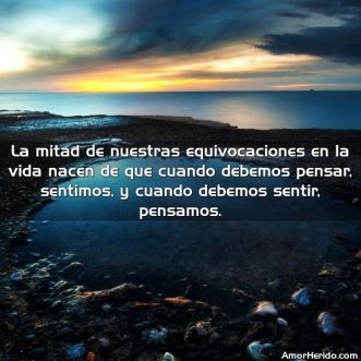 6378_la-mitad-de-nuestras