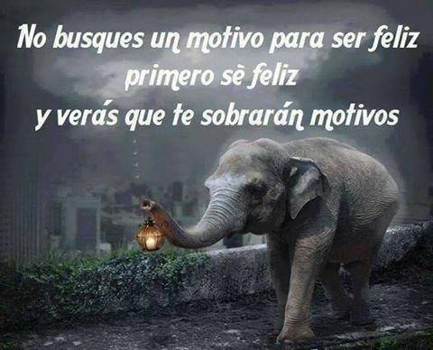 no-busques-un-motivo-para-ser-feliz-se-feliz-y-te-sobran-motivos-para-ello-yecla-ofertas-mejroes-freases-de-motivacion-y-ecologia-emocional