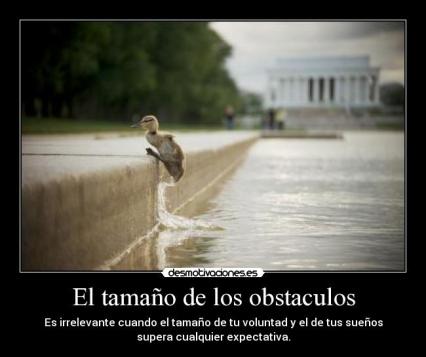 tumblr_m3ike7y8g71r7u6l5o1_1280