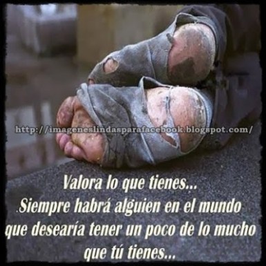 1385729_640057482705955_68417837_n