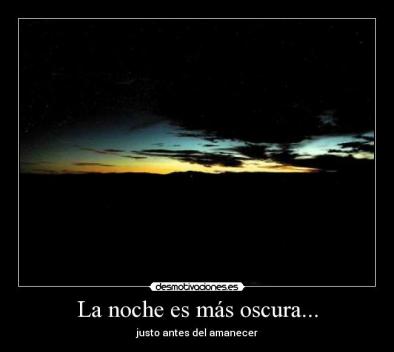 446138913_86385270e2_b