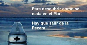 4fab838838b9fa90071528cc41a29403