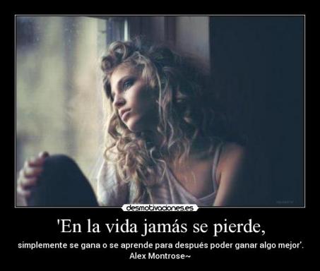 560910_448855208478796_409993547_n_large