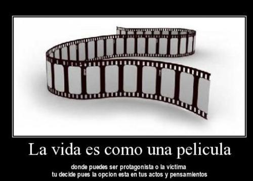 la-vida-es-como-una-pelicula_1_1378051