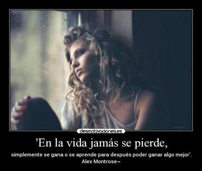 560910_448855208478796_409993547_n_large (1)