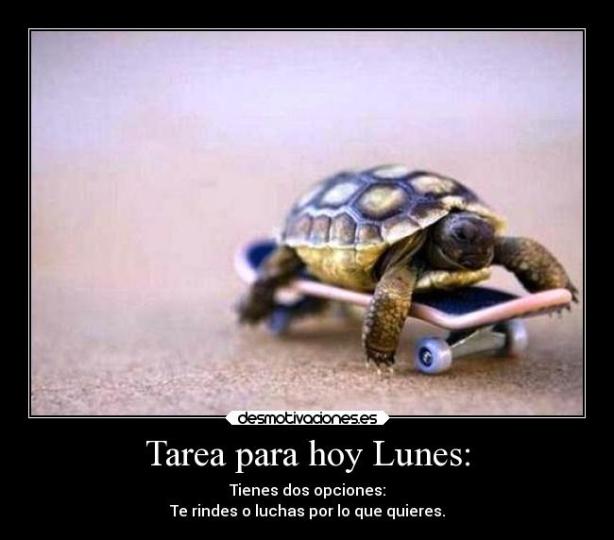 frases-ideas-desmotivaciones-3